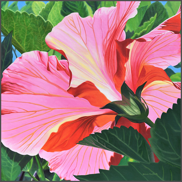 Sun Drenched Hibiscus - Nance Danforth Paintings